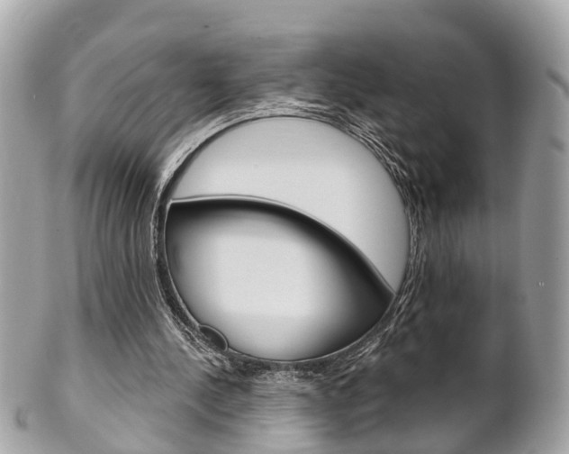 X0000102000244200807180855