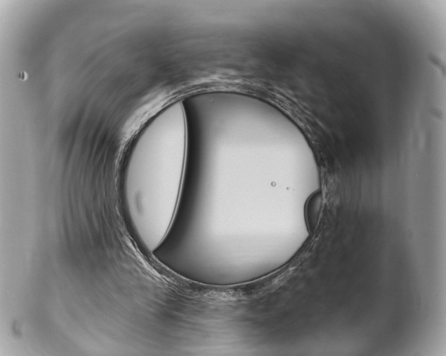 X0000102000245200807180855