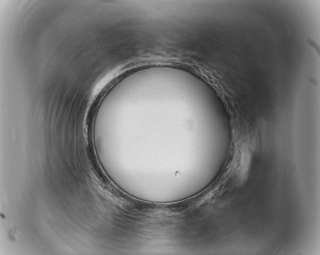 X0000102000246200807180855