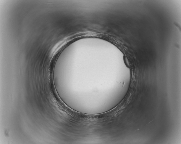 X0000102000247200807180855