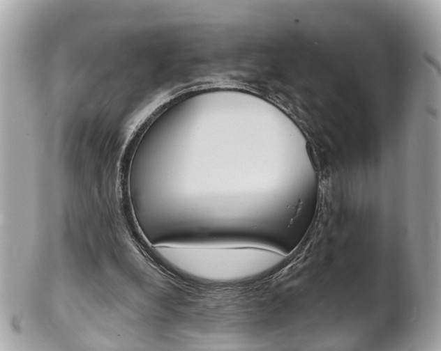 X0000102000248200807180855