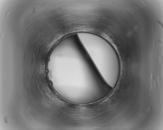 X0000102000249200807180855