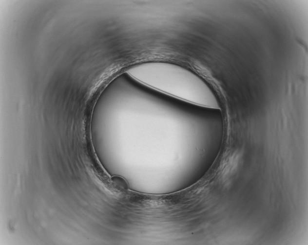 X0000102000250200807180855