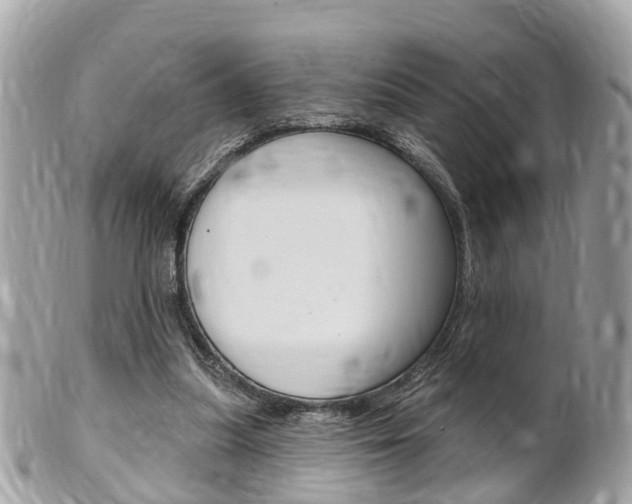 X0000102000251200807180855