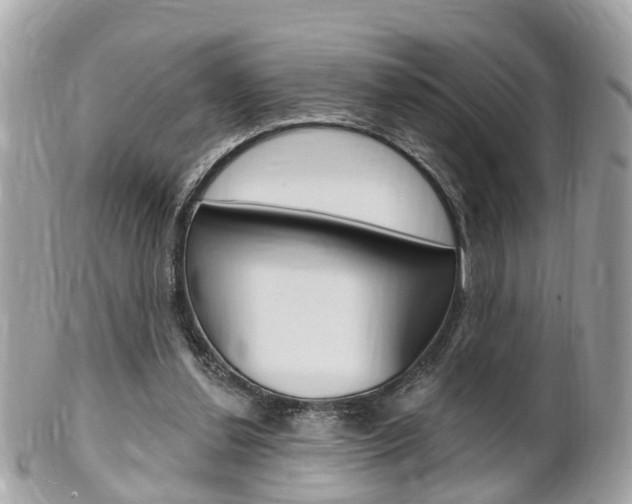 X0000102000252200807180855