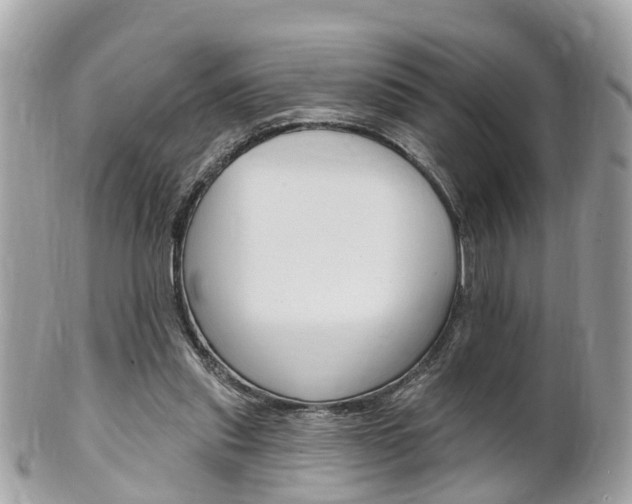 X0000102000253200807180855