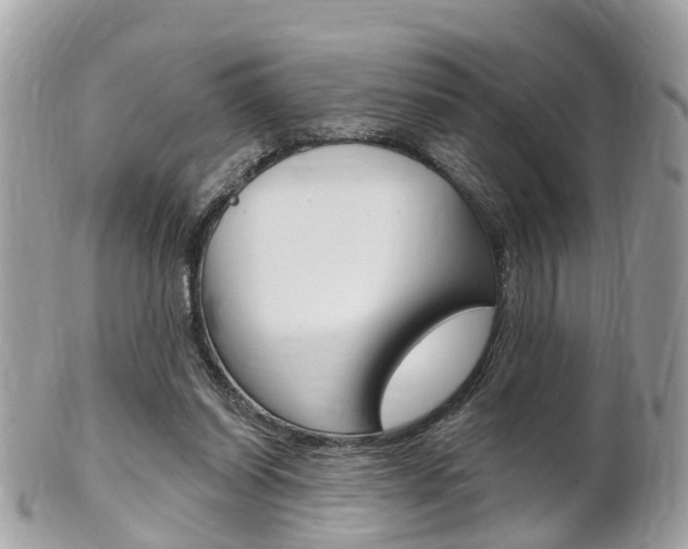 X0000102000254200807180855