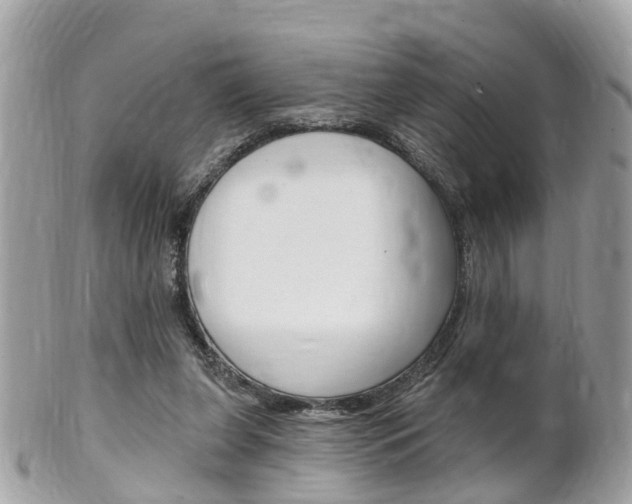 X0000102000255200807180855