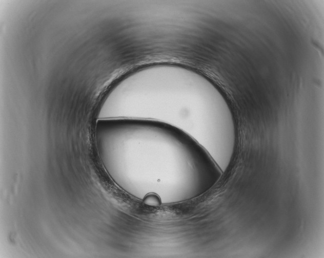 X0000102000256200807180855