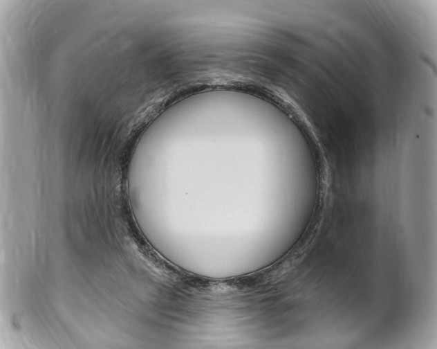 X0000102000257200807180855