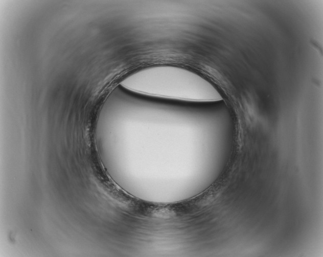 X0000102000258200807180855