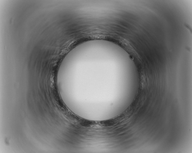 X0000102000259200807180855