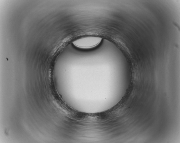 X0000102000260200807180855