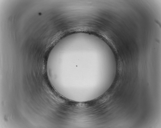 X0000102000261200807180855