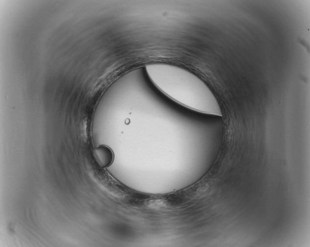 X0000102000262200807180855