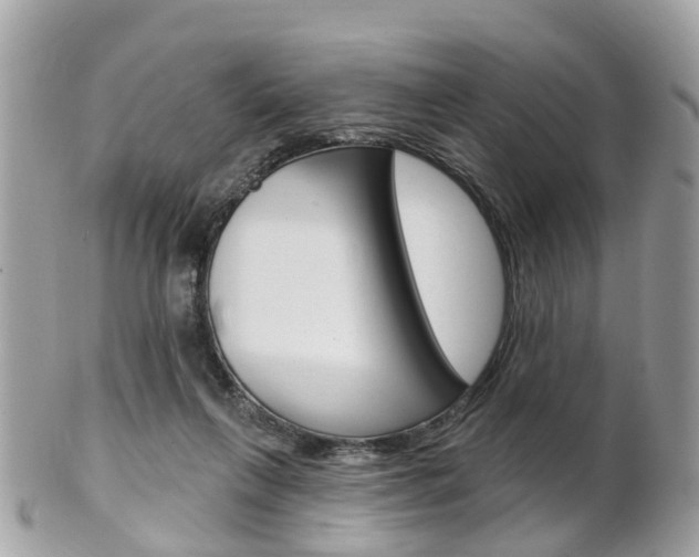 X0000102000263200807180855