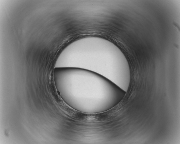 X0000102000264200807180855