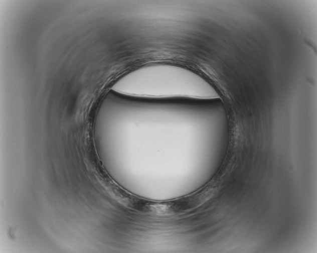 X0000102000265200807180855