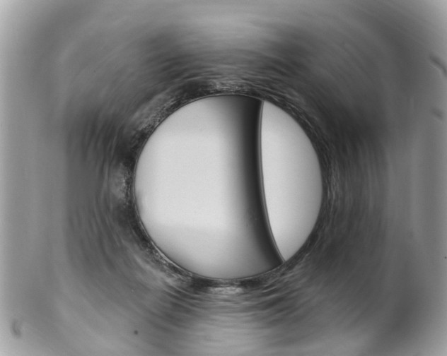 X0000102000266200807180855