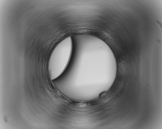 X0000102000267200807180855