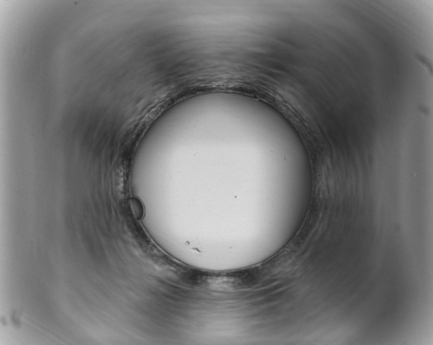 X0000102000268200807180855