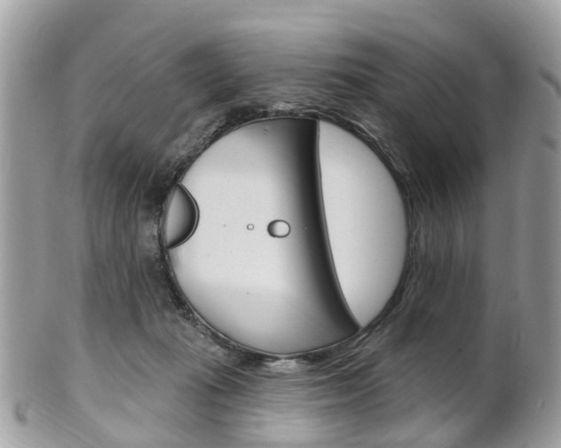 X0000102000269200807180855