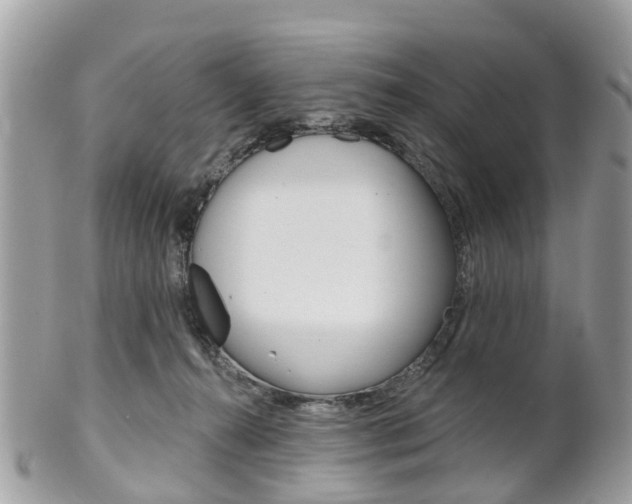 X0000102000272200807180855