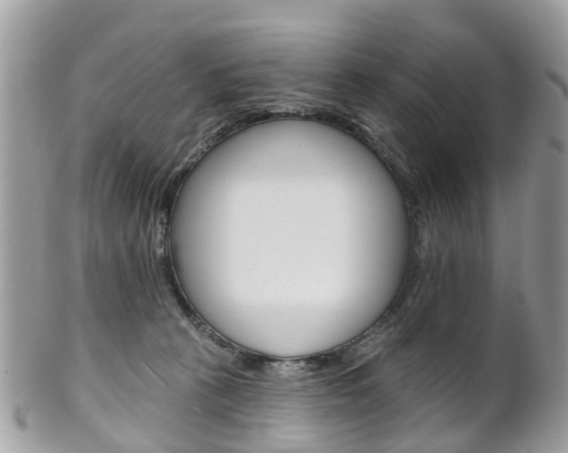 X0000102000273200807180855