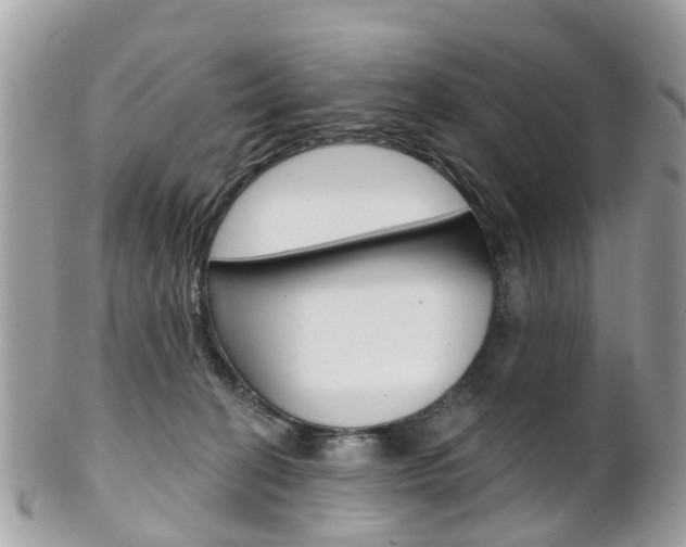 X0000102000274200807180855