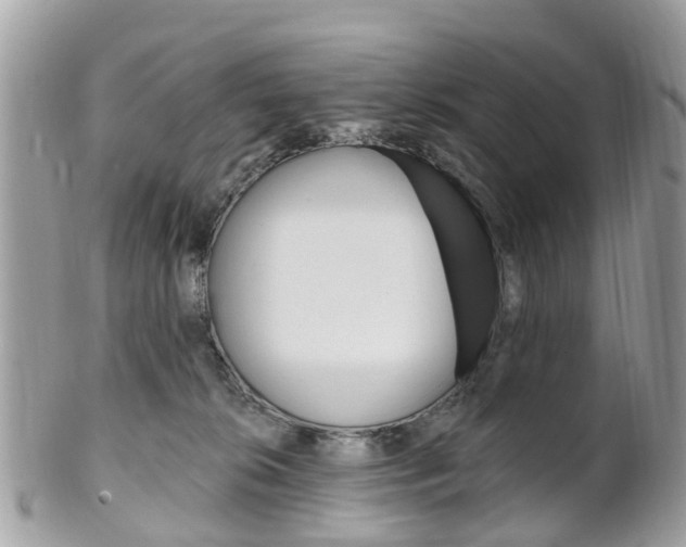 X0000102000276200807180855