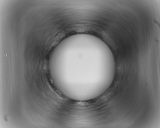 X0000102000277200807180855