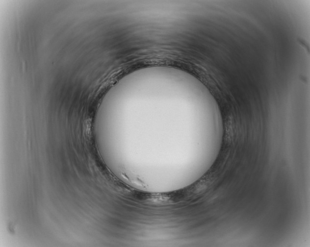 X0000102000278200807180855