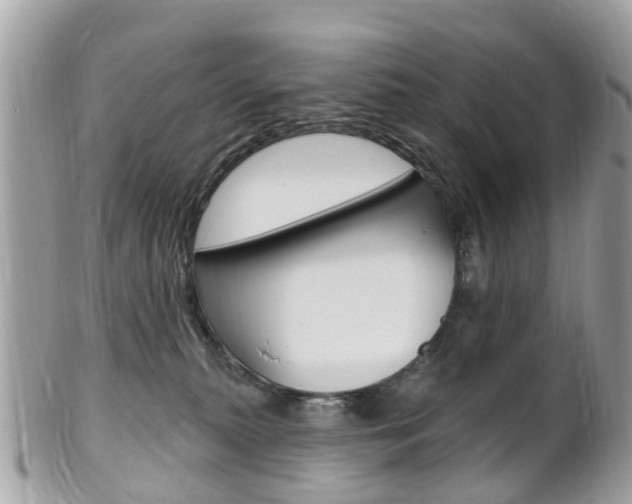 X0000102000279200807180855