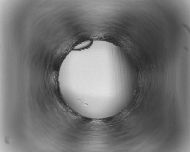 X0000102000280200807180855