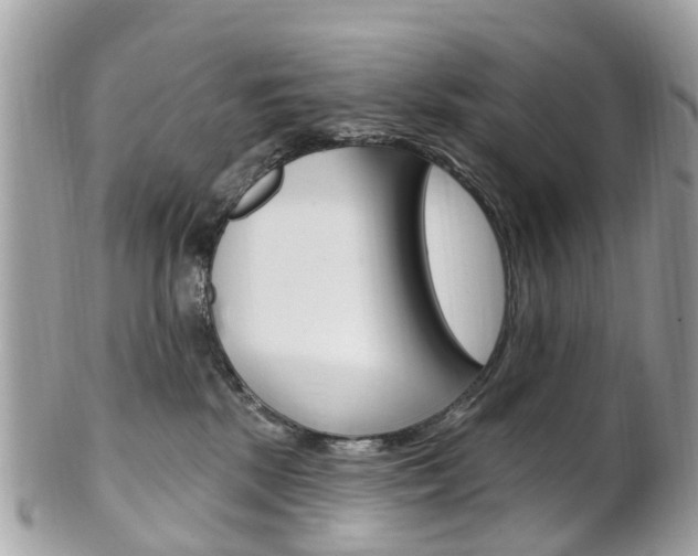 X0000102000281200807180855