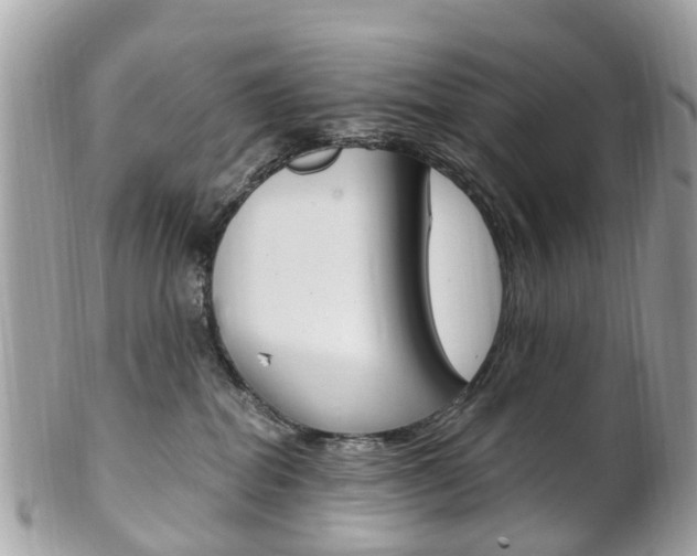 X0000102000282200807180855