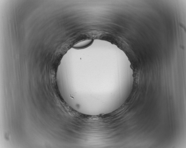 X0000102000283200807180855