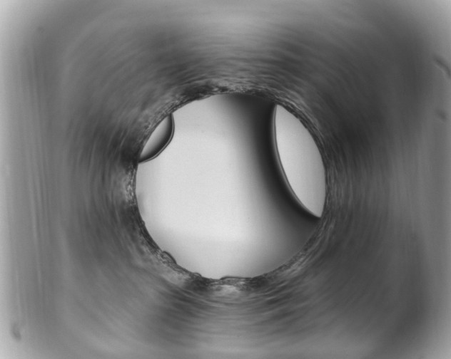 X0000102000285200807180855