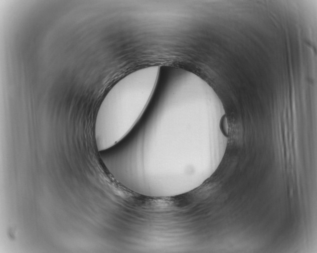 X0000102000286200807180855