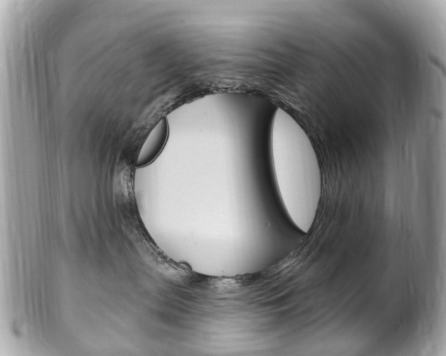 X0000102000287200807180855