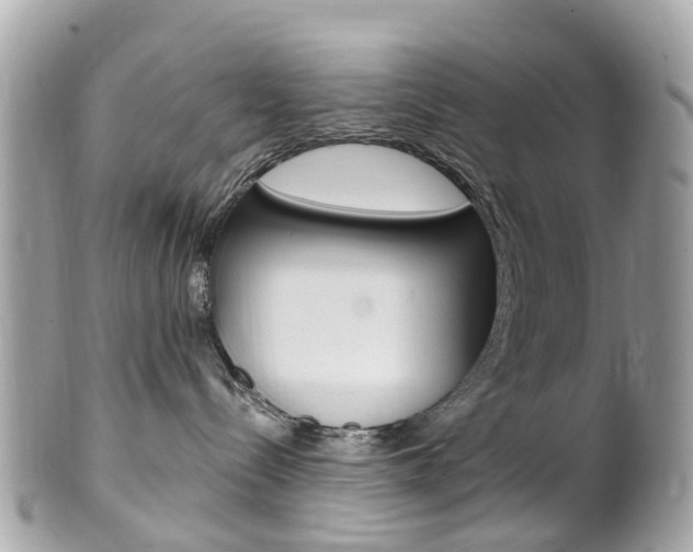 X0000102000288200807180855