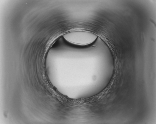 X0000102000289200807180855