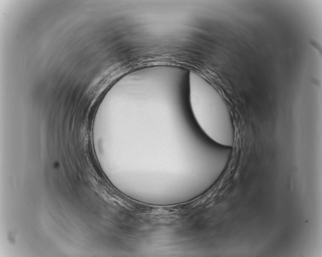 X0000102000290200807180855