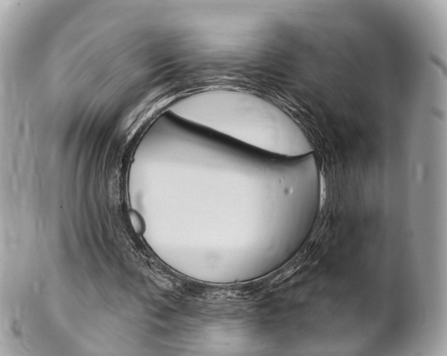 X0000102000291200807180855