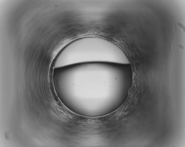 X0000102000292200807180855