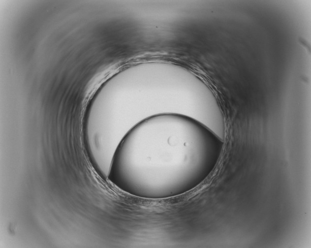 X0000102000293200807180855