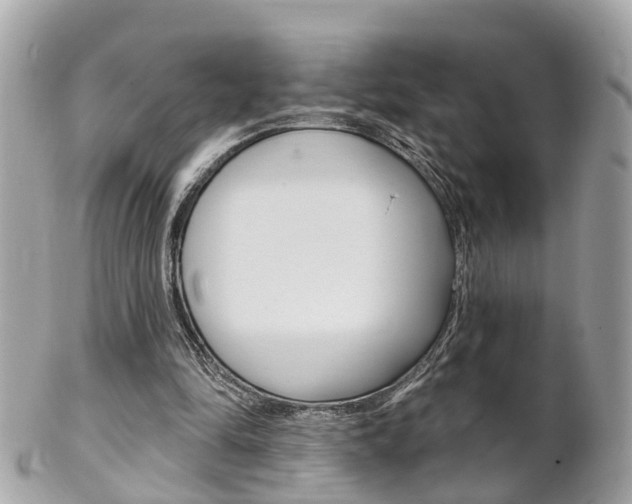 X0000102000294200807180855