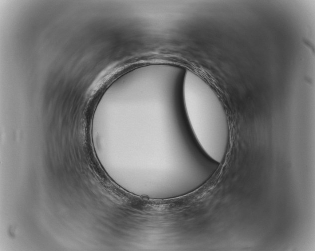 X0000102000295200807180855