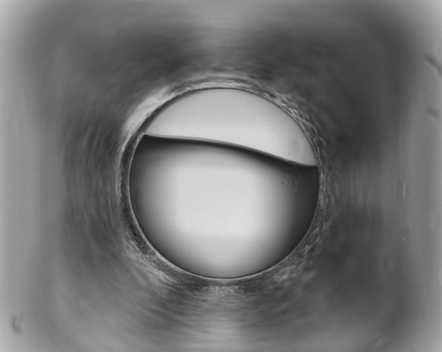 X0000102000296200807180855