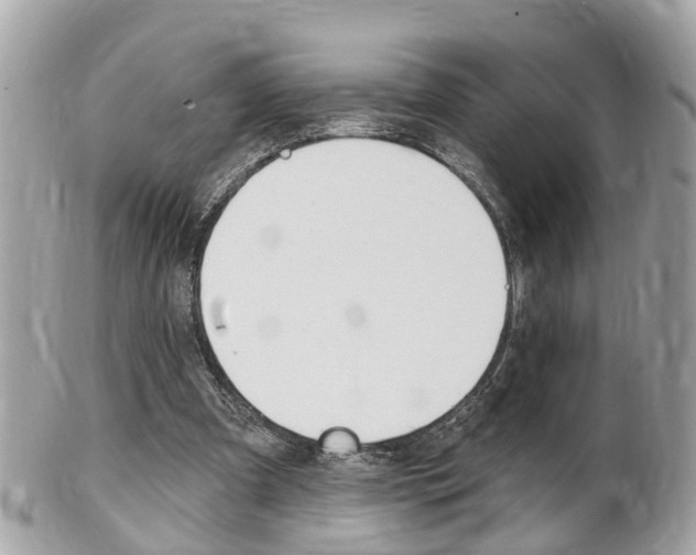 X0000102000297200807180855